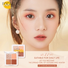 Phấn Mắt 4 Ô Nhiều Màu Nhũ Lì Sắc Tố Cao Focallure FA177 4.8g