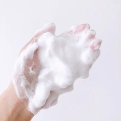 Sữa Rửa Mặt Tạo Bọt Dưỡng Da D Program Essence In Cleansing Foam 120g