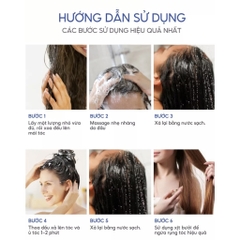 Bộ Dầu Gội Xả Bưởi Grapefruit Valert Plus Trị Rụng Tóc Cao Cấp 850mlx2