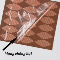 Dán Mí Lưới Tàng Hình Ren Lưới Không Cần Keo, Tự Nhiên Dream Kiss Kèm Bình Xịt 480M