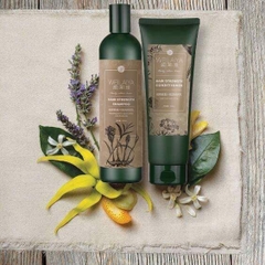 Bộ Dầu Gội Và Xã Gừng Weilaiya Hair Strength Shampoo & Conditioner 250ml & 400ml