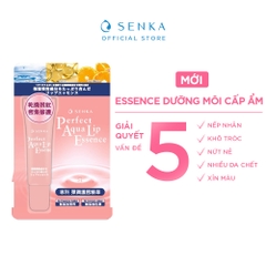 Tuýp dưỡng môi Senka Perfect Aqua Lip Essence 10g