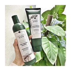 Bộ Dầu Gội Và Xã Gừng Weilaiya Hair Strength Shampoo & Conditioner 250ml & 400ml