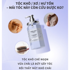 Dầu Hấp Tóc Phục Hồi Đa Tầng  Weilaiya Multi Effect Repair High Gloss Hair 450ml