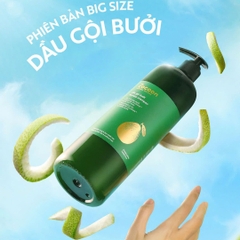 (Big Size) Dầu Gội Bưởi Giúp Giảm Gãy Rụng Và Làm Mềm Tóc Cocoon 500ml