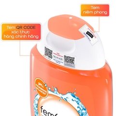 Dung Dịch Vệ Sinh Phụ Nữ Dưỡng Ẩm Cân Bằng Độ pH Femfresh Daily Intimate Wash 250ml
