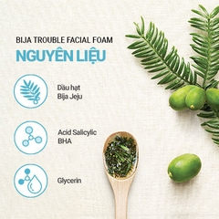 Sữa Rửa Mặt Cho Da Dầu Mụn Innisfree Bija Trouble 150ml