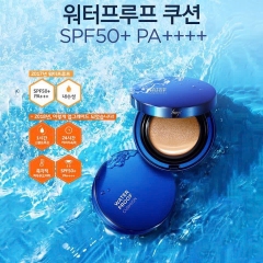 Phấn nước đa năng lâu trôi Fmgt Water Proof Cushion EX 15g