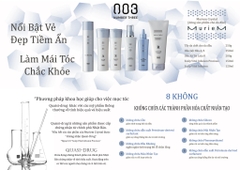Xịt bọt tẩy tế bào chết da đầu 003 Number Three Muriem Crystal Scalp Cleansing Foam 250g