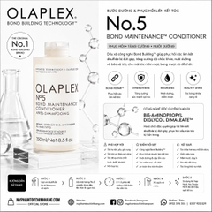 Bộ đôi chăm sóc tóc tím chuyên dụng cho tóc tẩy, tóc sáng màu OLAPLEX No.4P và OLAPLEX No.5P