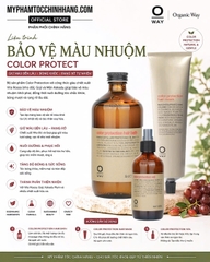 Dầu Gội và mặt nạ Bảo Vệ Màu Nhuộm Oway  Color Protection 240ml - 950ml