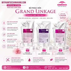 Bộ hấp phục hồi tóc hư tổn 3 bước Milbon Deesse’s Hair Treatment 3 Steps