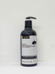 Dầu gội xả ARGANA phục hồi tóc và trị gàu Anti-Dandruff & Repair 500ml/ 750ml