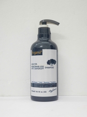 Dầu gội xả ARGANA phục hồi tóc và trị gàu Anti-Dandruff & Repair 500ml/ 750ml