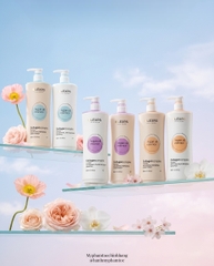 Dầu gội xả Olexrs mẫu mới nhất 2024 500ml - 960ml