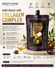 DẦU GỘI XẢ BERDYWINS ARGAN OIL Shampoo, Conditioner 1000ml+HẤP TÓC Mask Berdywins 500ML
