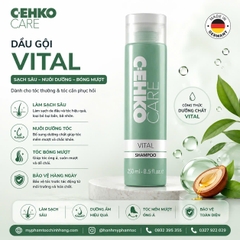 Dầu gội chống rụng tóc CEHKO Energy - C:EHKO Energy Shampoo 250ml + xịt mọc tóc 75ml