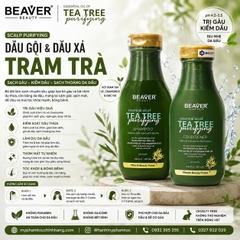 Cặp dầu gội và dầu xả BEAVER Tea Tree Purifying Shampoo & Conditioner