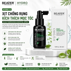 Tinh chất dưỡng da đầu BEAVER +6 chống rụng & kích thích mọc tóc ( BEAVER +6 Hair Growth & Anti-Hair Loss Scalp Tonic) 50ml
