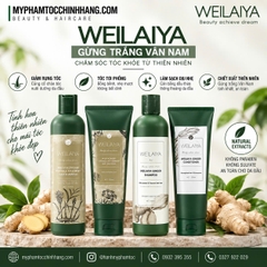 CẶP GỘI XẢ WEILAIYA GỪNG BẮC HÀ THỦ Ô 400ML - 250ML ( CHO DA ĐẦU THƯỜNG, TÓC KHÔ)