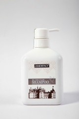 Dầu gội xả siêu phân tử Andfaci Re-Structure Argan Oil Shampoo & Conditioner 650ml