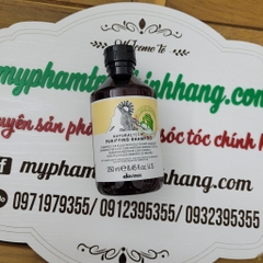 DẦU GỘI TRỊ GẦU DAVINES PURIFYING 250ML - 1000ML