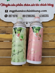 (CHÍNH HÃNG 100%) GỘI XẢ BƯỞI KÍCH THÍCH MỌC TÓC GREAPEFRUIT 850ML*2