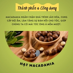 Dầu gội và dầu xả KAYPRO Macadamia ( KAYPRO Macadamia Special Care Shampoo & Conditioner)