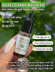 HUYẾT THANH CHỐNG RỤNG MỌC TÓC WEILAIYA GỪNG GINGER HAIR ROOT NOURISHING ESSENCE 5ML