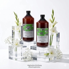 Dầu gội & Dầu xả Davines trường thọ Naturaltech Renewing Shampoo & Renewing Conditioning Treatment