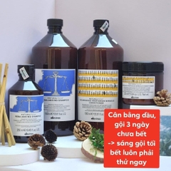 Dầu xả Davines Naturaltech Renewing (Trường Thọ) Conditioning Treatment