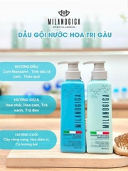 Dầu gội xả Milanogica trị gàu (Milanogica Anti-Dandruff Shampoo & Conditioner) 350ml 725ml
