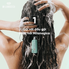 Dầu gội xả Milanogica trị gàu (Milanogica Anti-Dandruff Shampoo & Conditioner) 350ml 725ml