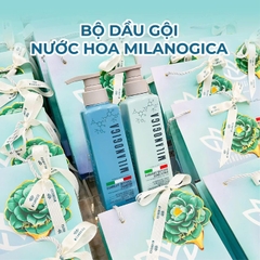 Dầu gội xả Milanogica trị gàu (Milanogica Anti-Dandruff Shampoo & Conditioner) 350ml 725ml