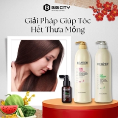 Tinh chất dưỡng da đầu BEAVER +6 chống rụng & kích thích mọc tóc ( BEAVER +6 Hair Growth & Anti-Hair Loss Scalp Tonic) 50ml