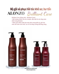 Dầu gội xả cho tóc nhuộm Alonzo Premium 300ml 1000ml