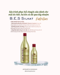 DẦU GỘI VÀ MẶT NẠ Ủ BES HERGEN SILKAT N1 N3  500ML - 1000ML