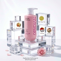 Dầu Gội – Dầu Xả – Hấp Siêu Mượt Tóc Obsidian Professional Nutripair 500ml