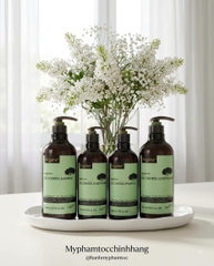 Bộ dầu gội xả ARGANA kiểm soát dầu, làm sạch tóc bết nhờn Oil-Control 500ml/ 750ml