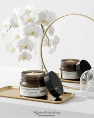 Bộ sản phẩm phục hồi chuyên sâu L'Oréal Professionnel Absolut Repair Molecular