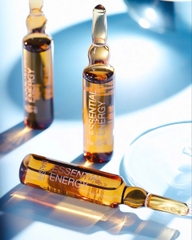 Tinh Chất Giảm Rụng Tóc Nashi Argan Essential Energy Ampoule Capixyl™ 12x10ml Chính Hãng Ý