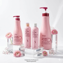 Dầu Gội & Dầu Xả Tái Tạo Tóc Hư Tổn Obsidian Damage Care Shampoo & Conditioner