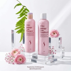 Dầu Gội & Dầu Xả Tái Tạo Tóc Hư Tổn Obsidian Damage Care Shampoo & Conditioner