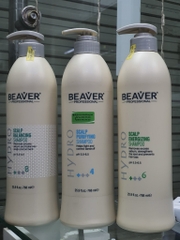 Dầu gội BEAVER số 4 trị gàu – làm sạch & cân bằng da đầu -  Scalp Balancing Anti-Dandruff Shampoo No.4 768ml