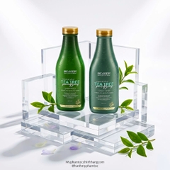 Cặp dầu gội và dầu xả BEAVER Tea Tree Purifying Shampoo & Conditioner
