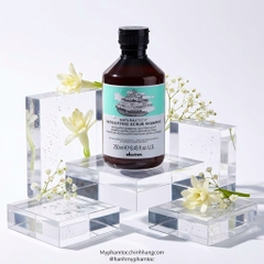 Dầu Gội Thải Độc Cho Da Đầu DAVINES DETOXIFYING 250ml - 1000ML