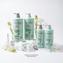 Dầu gội xả chiết xuất nấm Elvawell White Truffle Shampoo, Conditioner 500ml 1000ml