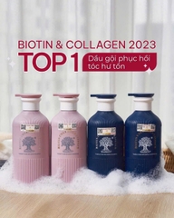 DẦU GỘI XẢ BIOTIN COLLAGEN BLUE XANH HƯƠNG NƯỚC HOA 500ML