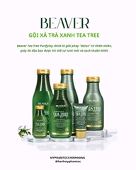 Cặp dầu gội và dầu xả BEAVER Tea Tree Purifying Shampoo & Conditioner