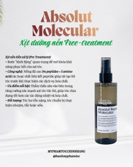 Bộ sản phẩm phục hồi chuyên sâu L'Oréal Professionnel Absolut Repair Molecular